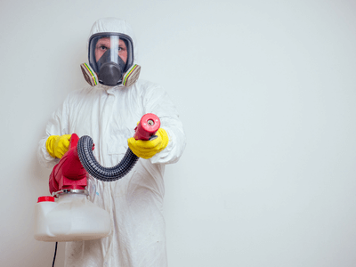 About Mesquite Flea Removal - flea removal experts in Mesquite